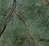 Green Rainforest Marble